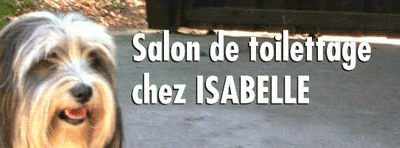 W4982100FIA.png