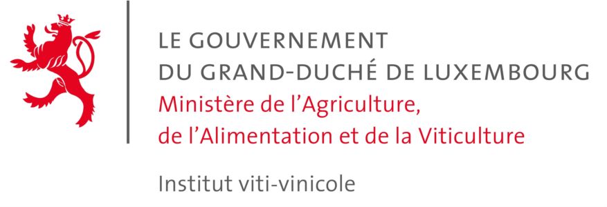 Logo Institut Viti-Vinicole