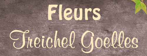 Logo Fleurs Treichel Goelles