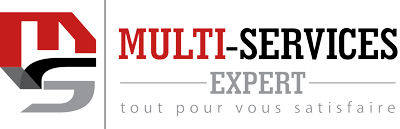 Logo Multi Services Expert 