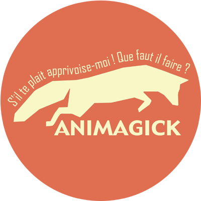 Animagick SARLS