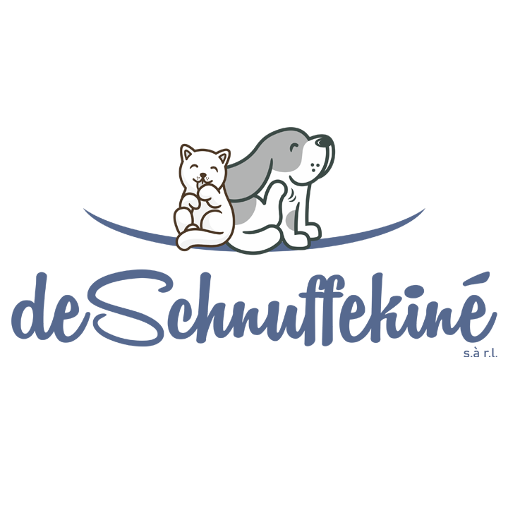 Logo de Schnuffekiné Sàrl