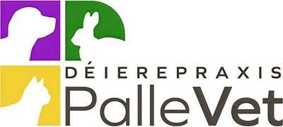 PalleVet Fear Free Vet