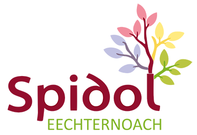 Logo Hospice Civil Echternach