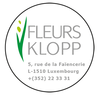 Fleurs Klopp