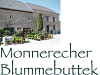 Logo Fleurs Monnerecher Blummebuttek