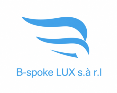 Logo B-SPOKE LUX - Installation d’électroménager et  travaux électriques au Luxembourg