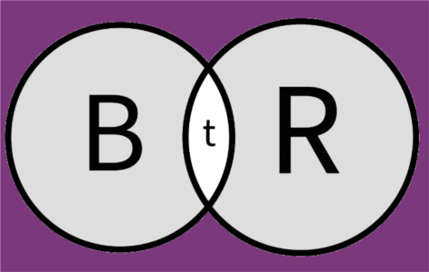 Logo Back TO Reality SARL