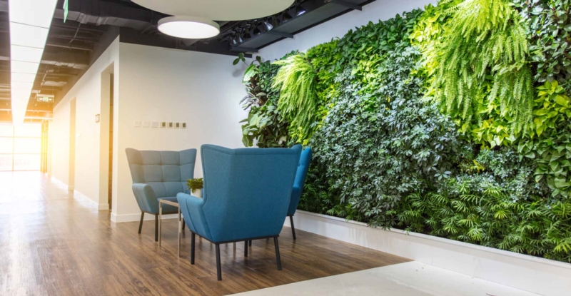 Plant a business: how to put your employees green in an original way