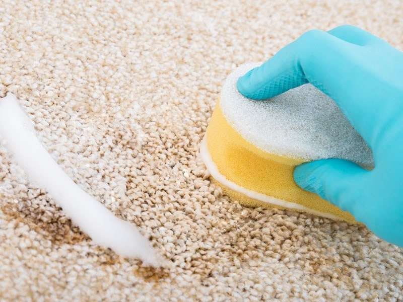 how to clean a carpet