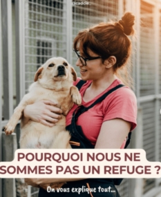 Pourquoi nous ne sommes pas un refuge? 