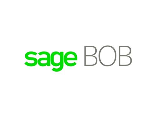 SAGE BOB (Buchhaltung und kaufmännische Geschäftsführung)