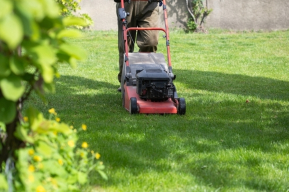 Entretien de jardins et d'espaces verts