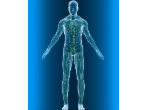 Drainage lymphatique manuel