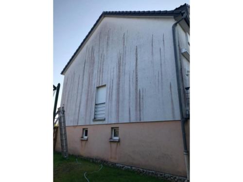 Nettoyage de façade (traitement anti mousse)