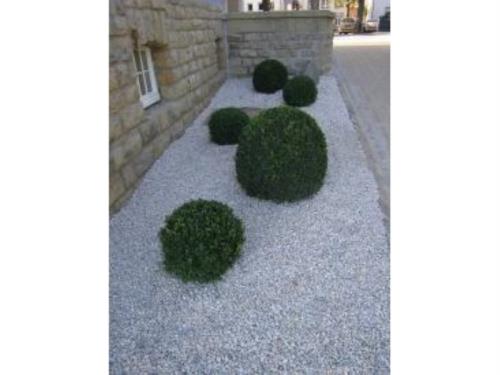 Gartengestaltung  