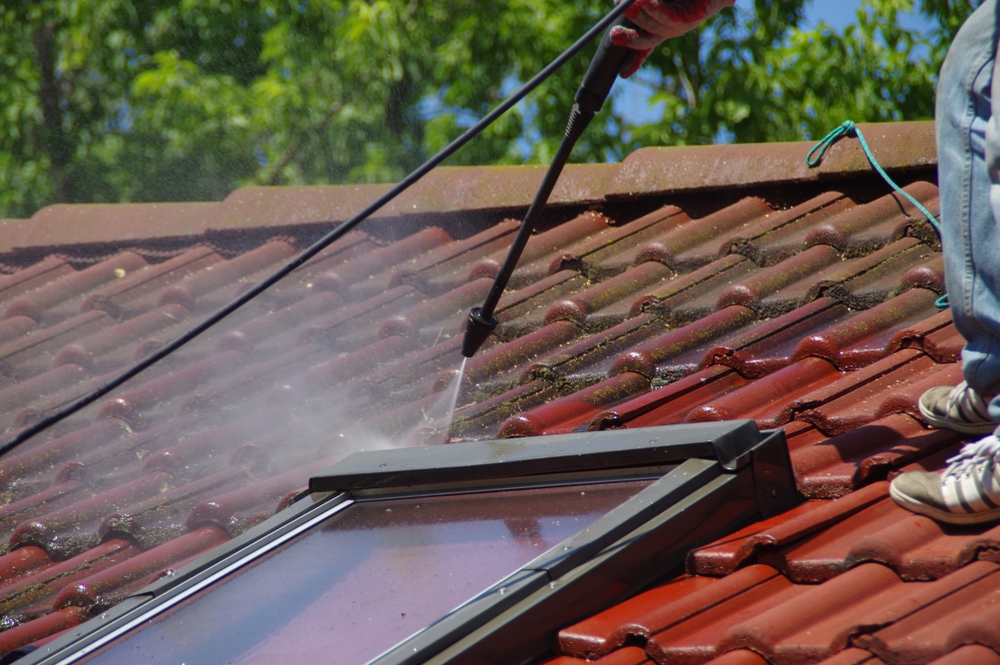 Roof cleaning