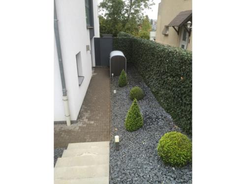 Panneaux métalliques avec lierres 