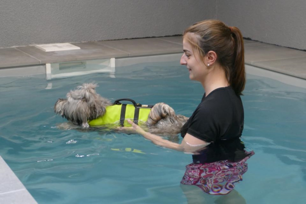 Blessures Musculaires