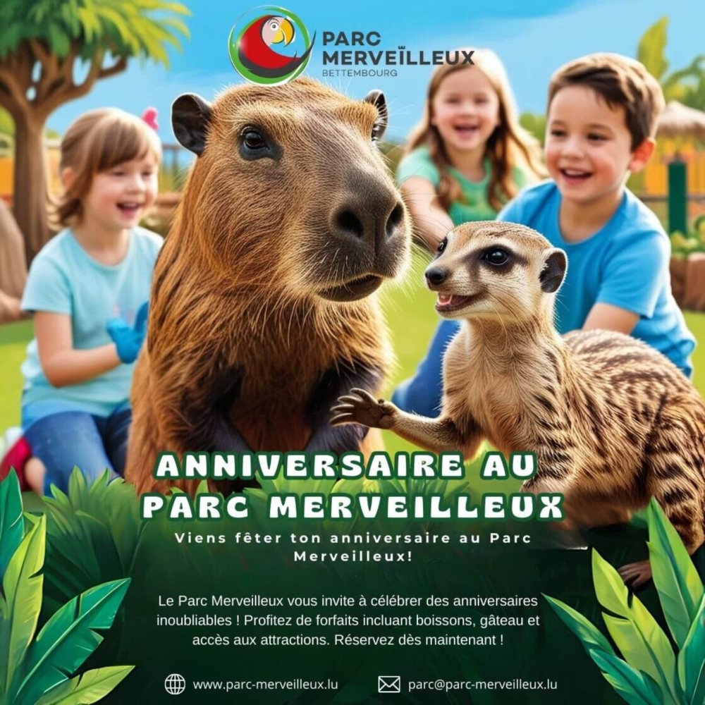 Kindergeburtstag (außerhalb der Saison)