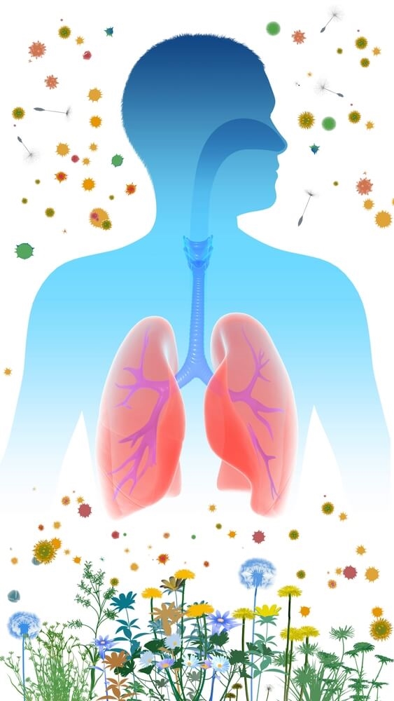 Allergies respiratoires