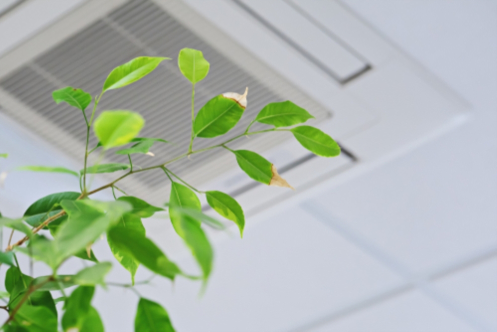 Qualité de l'air intérieur