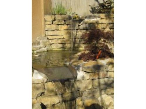 Teichbau
