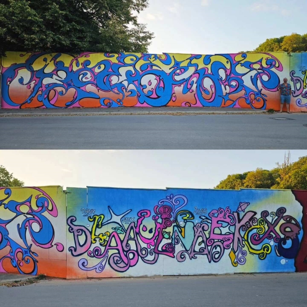 Fresques murales & projets street art