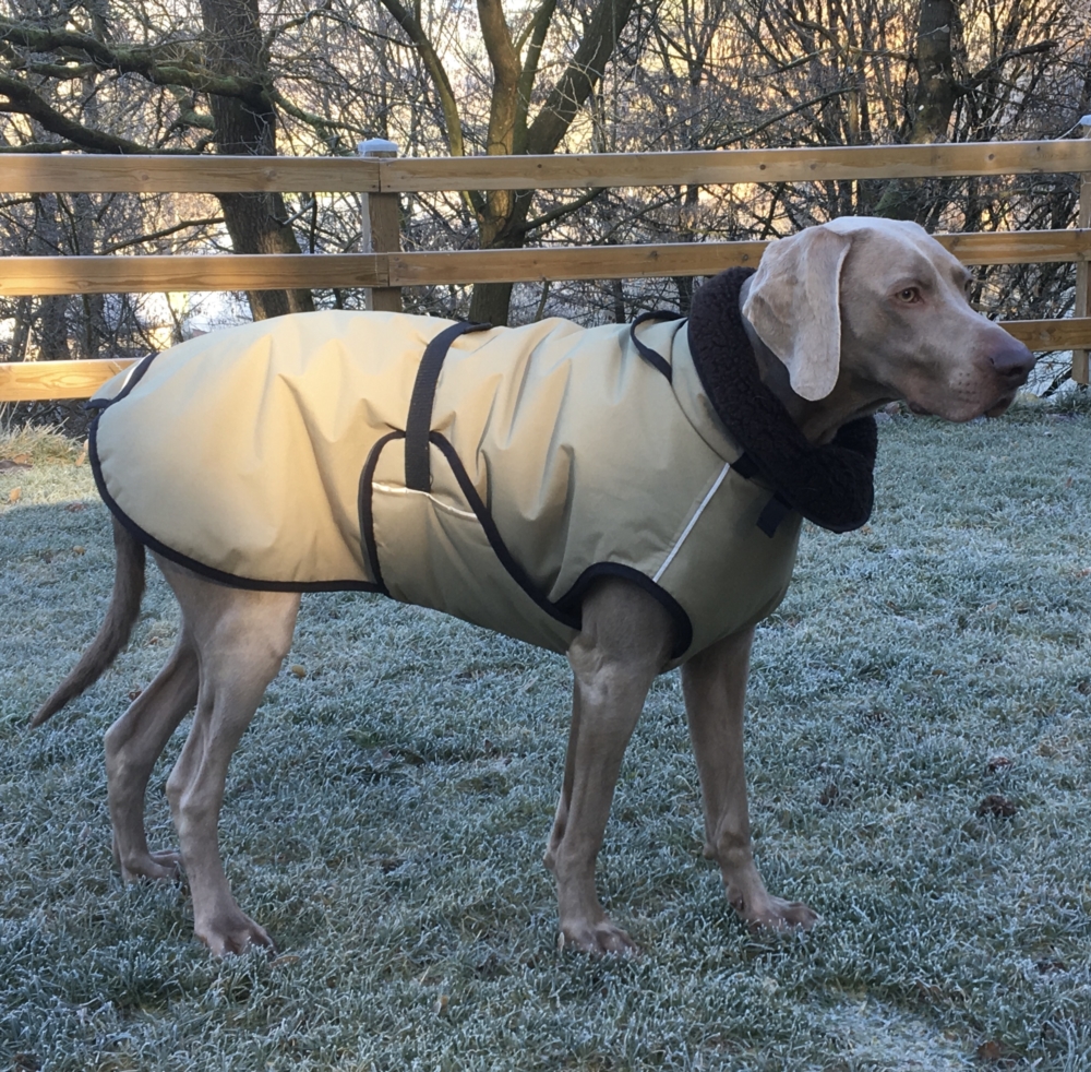 Manteaux pour chiens