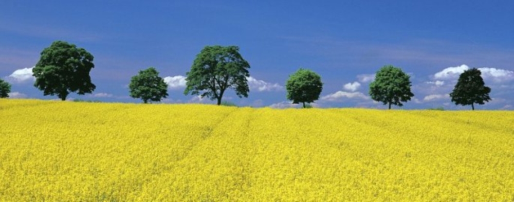 Agriculture et arboriculture