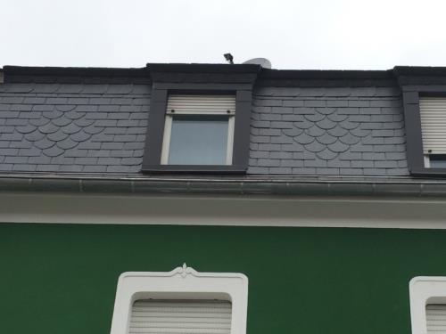 Rénovation de toiture en ardoise naturelle