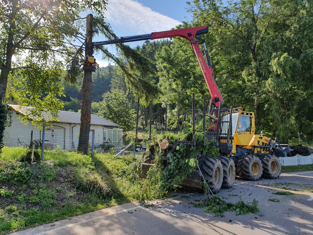 Forstwirtschaftliche Dienstleistungen