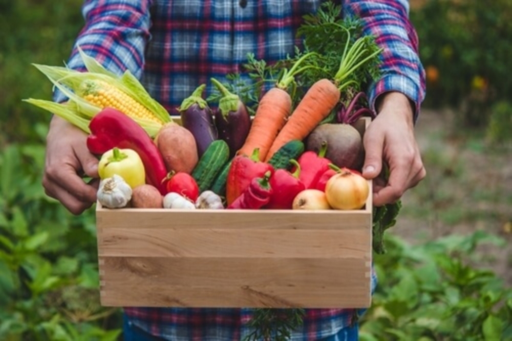 Fruits et légumes AUS EISEM GAART