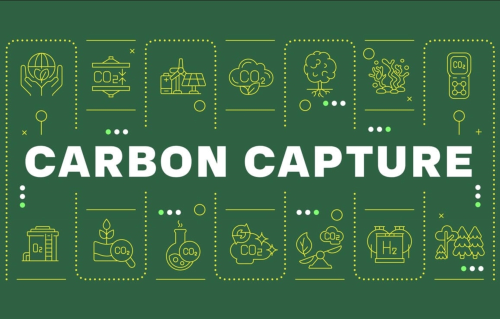 Capture du carbone