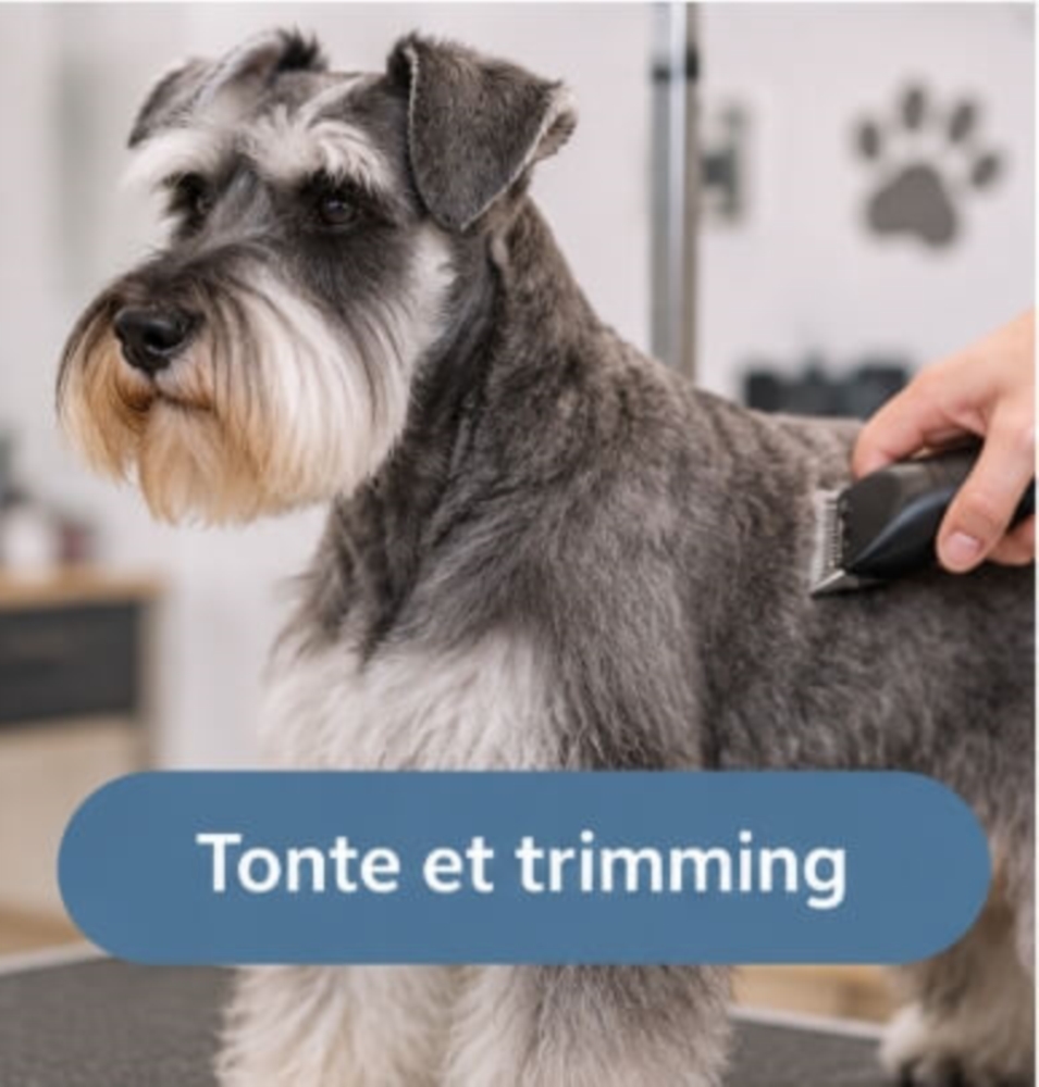 Tonte et trimming