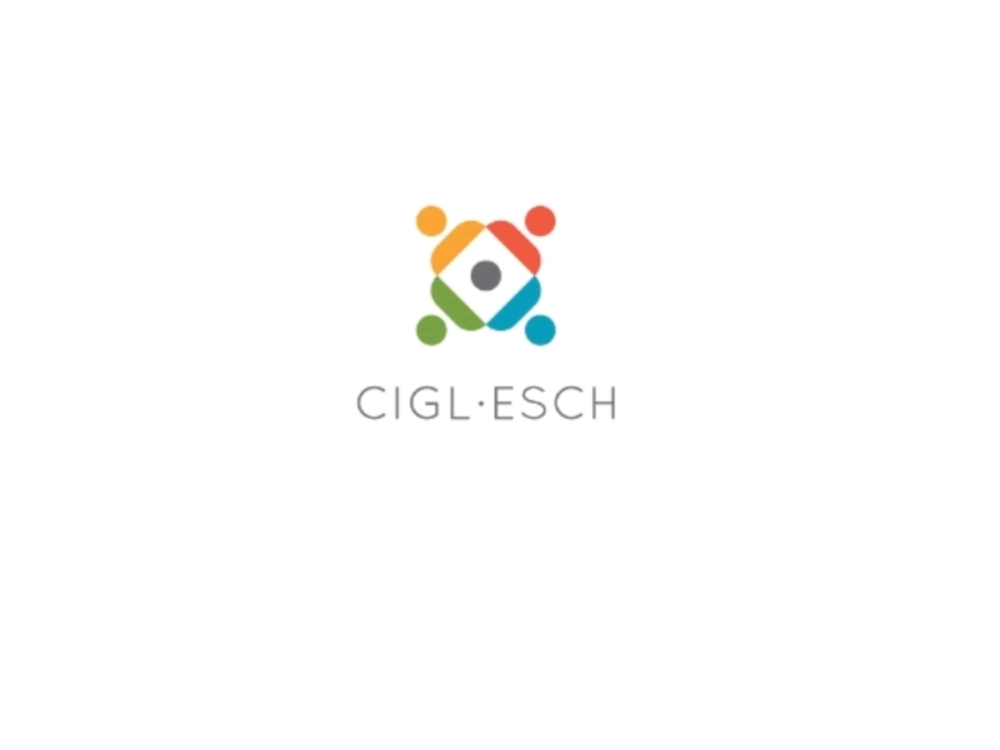 Accompagnement vers l'emploi