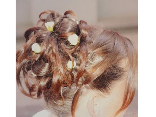 Chignon
