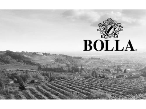 Les vins Bolla