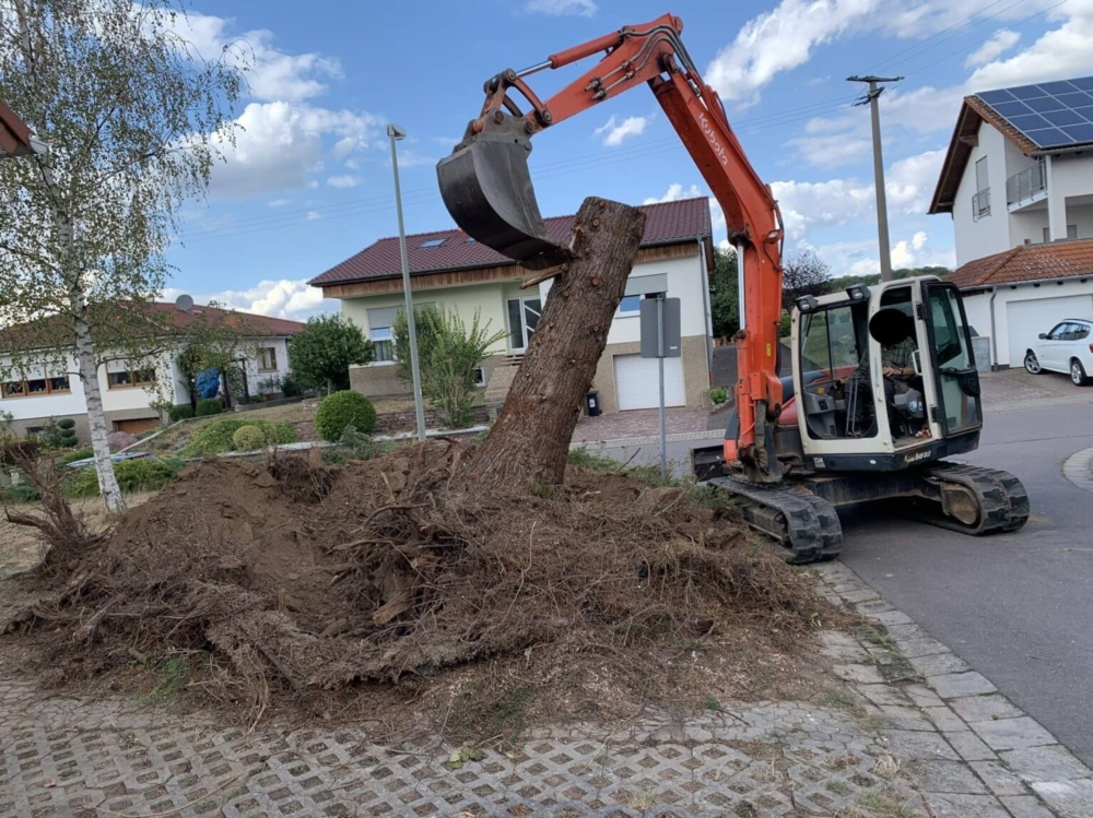 Bagger- & Erdarbeiten