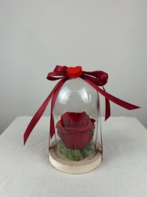 Cloches 