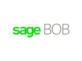 SAGE BOB (Buchhaltung und kaufmännische Geschäftsführung)