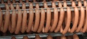 Le meilleur dans votre assiette