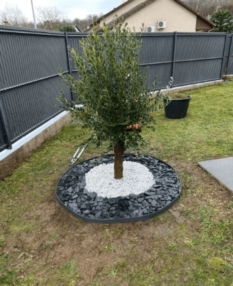 Aménagement extérieur : valorisez votre jardin