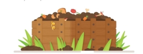 Le compost attire-t-il vraiment les rats ?
