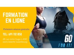 Fomation EMS en ligne