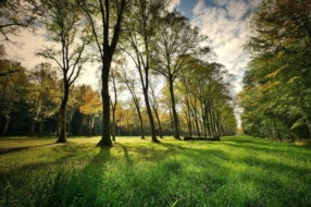 Un cadre unique au cœur du parc