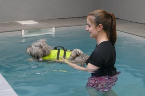 Blessures Musculaires