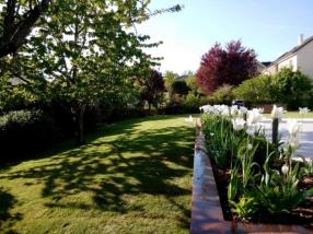 Aménagement de jardin 