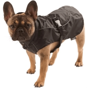 Vêtements pour chien 