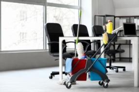 Nettoyage pour professionnels